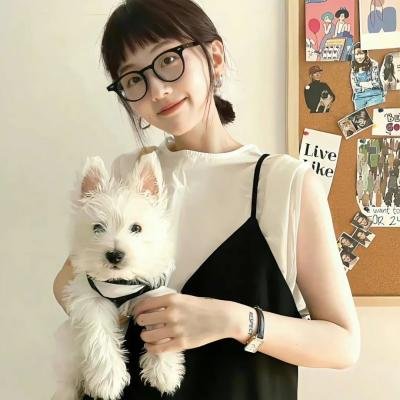 最后的维米尔